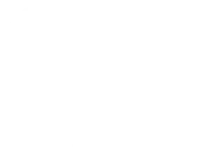 The Law Offices of Paul H. Appel logo